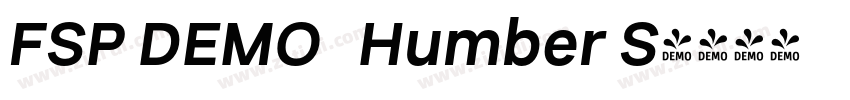 FSP DEMO   Humber S字体转换